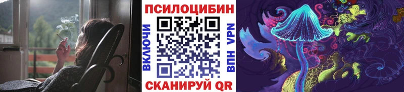 Псилоцибиновые грибы Psilocybe  Тула 